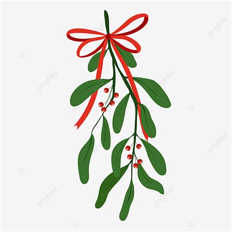 Christmas Mistletoe Clipart Png Images Mistletoe With Ribbon For