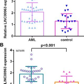 Mir Levels In Aml Specimens A The Expression Of Mir In The