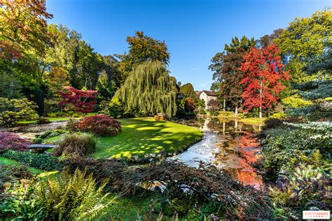 Album Photos Le Jardin japonais du Château de Courances