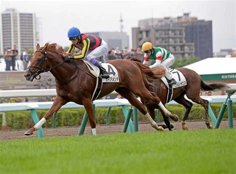 ＜札幌5r・新馬戦＞楽に抜け出したガイアメンテ（撮影・千葉 茂） ― スポニチ Sponichi Annex ギャンブル