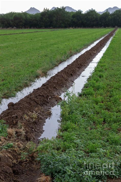 Irrigation On Farm In New Mexico Desert Photograph By Jim Westscience