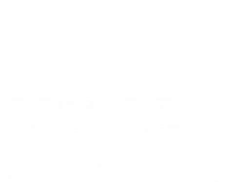 opacity test       test slip