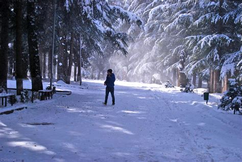 Winter Has Come: Snowy Armenia In Images - History Of Armenia