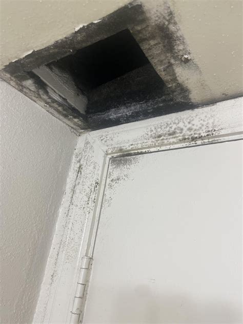 how to know if my apartment has mold