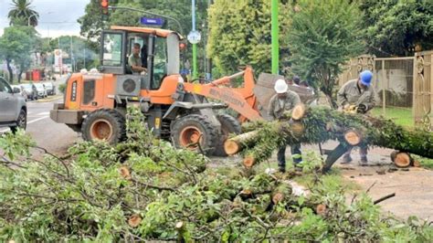 Contin An Los Trabajos De Despeje De M S De Rboles Ca Dos