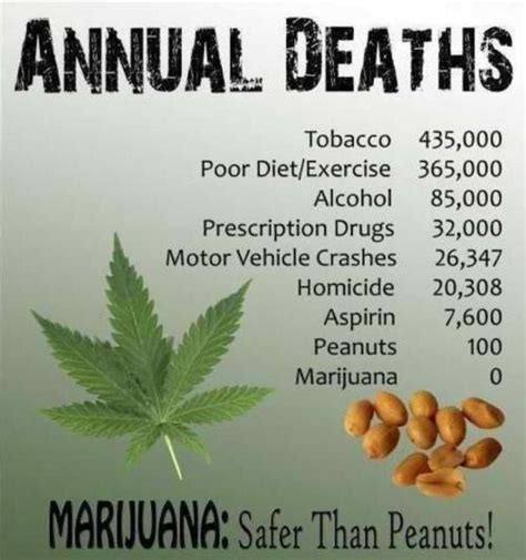 Pros and Cons of Marijuana Legalization