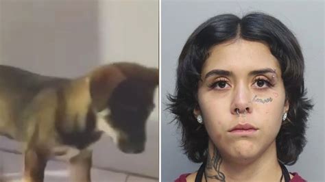 Mujer Es Arrestada Tras Asesinar Cruelmente A Su Mascota En Miami Video Univision 23 Miami