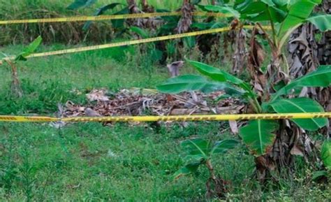 Colombia Nueva Masacre Deja Tres Personas Asesinadas En Arauca Boltxe