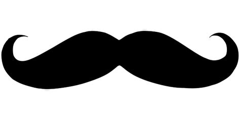 Bigode Preto Encaracolado Gráfico vetorial grátis no Pixabay Pixabay