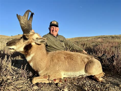 The utah hunt planner reveals a surprising increase in tags 15