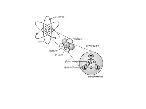 Starter Question Draw A Timeline Showing All The Important Theories Discoveries In The