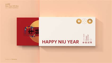 Vvild New Year Gift Box Package Behance