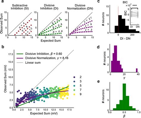 Precise Excitation Inhibition Balance Controls Gain And Timing In The