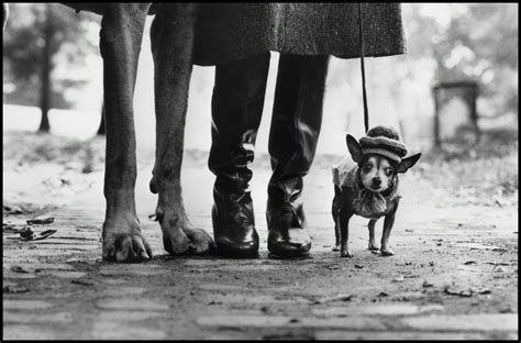 Life According to Elliott Erwitt • Elliott Erwitt • Magnum Photos