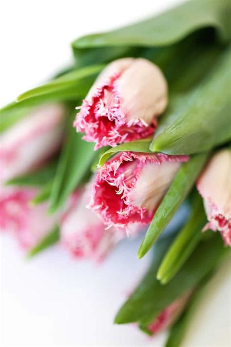 How To Make Grocery Store Flowers Look Expensive Salty Canary