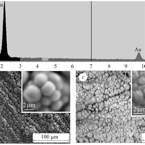 The EDX Of Au Pd Deposits A And The SEM Images Of The Surface Of