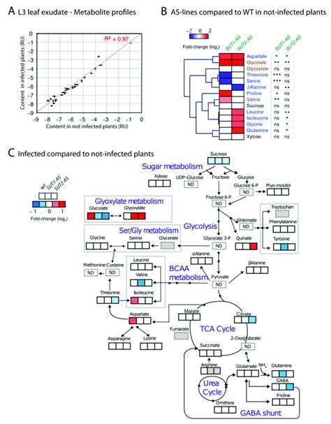 Comparison Of Metabolite Profiles Of The Phloem Sap Enriched Exudate