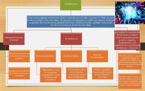 Fisiología Básica Sistema Endocrino