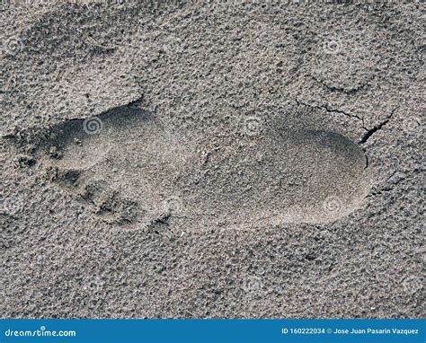 Empreinte Humaine Dans Le Sable Humide De La Plage Photo Stock Image