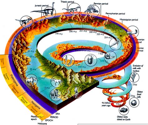 Geologic History