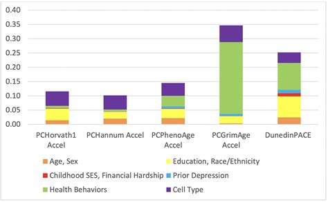 Epigenetic Based Age Acceleration In A Representative Sample Of Older