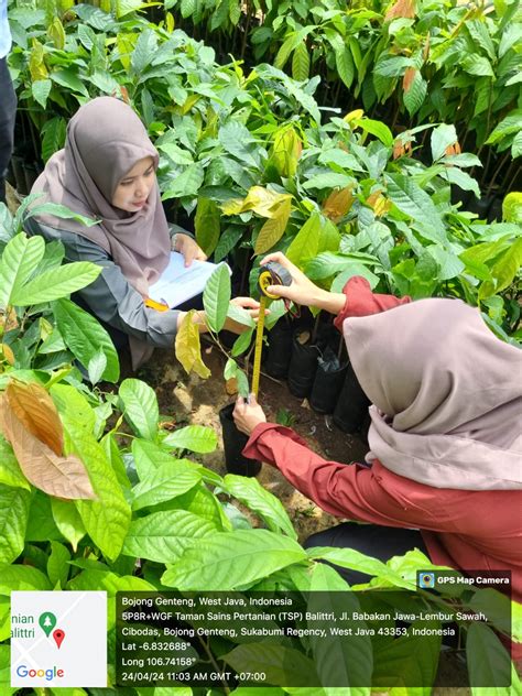 BPSBP Balai Pengawasan Dan Sertifikasi Benih Perkebunan