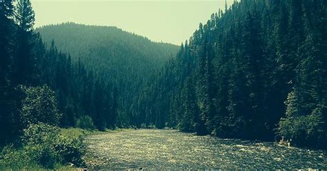 Went Fly Fishing On The St Joe River Northern Idahosmoke From The