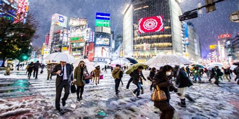 Japonya da yoğun kar yağışı Yaralı sayısı 240 a yükseldi