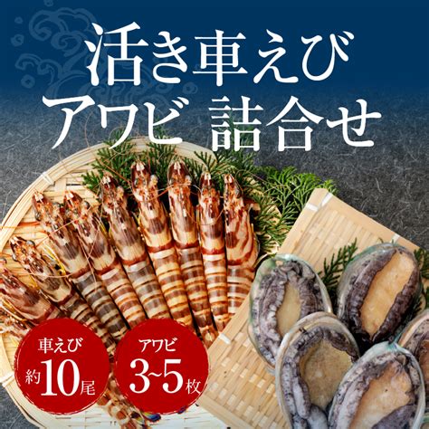 【楽天市場】【ふるさと納税】【着日指定】 魚介類 詰め合わせ 約650g 活き車えび 300g 10尾前後 活きアワビ 350g 3～5枚