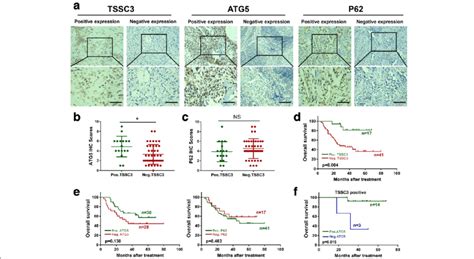 Atg Expression Correlated Positively With Tssc Expression In