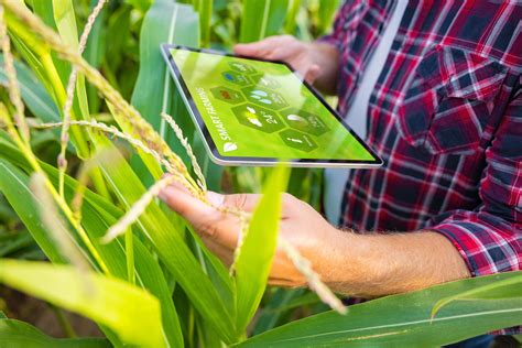 Gemelos Digitales Herramienta Clave Para El Desarrollo De La Agricultura