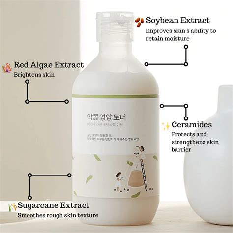 Round Lab - Soybean Nourishing Toner – BASIC MADE CO