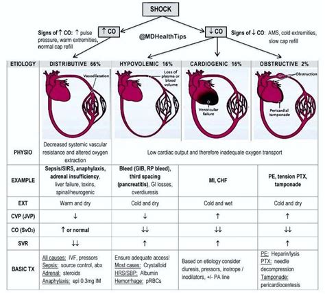 Different Types Of Shock