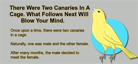 There Were Two Canaries In A Cage