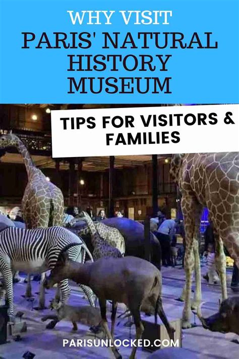 Paris' Natural History Museum is Essential (With or Without Children)