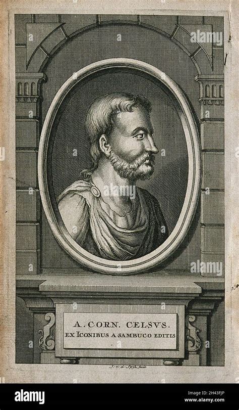 Cornelius celsus fotografías e imágenes de alta resolución Alamy