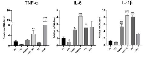 Effects Of Hwh On The Mrna Levels Of Pro Inflammatory Cytokines Il 6