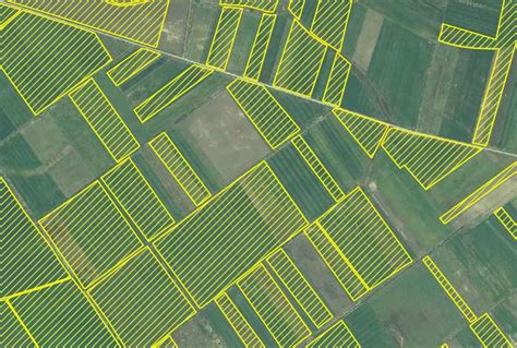 Sistemul De Identificare A Parcelelor Agricole Va Fi Actualizat I