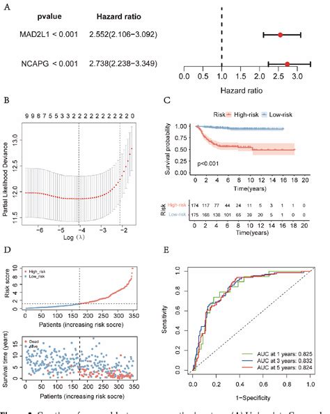 Figure From Identification Of Ncapg As An Essential Gene For