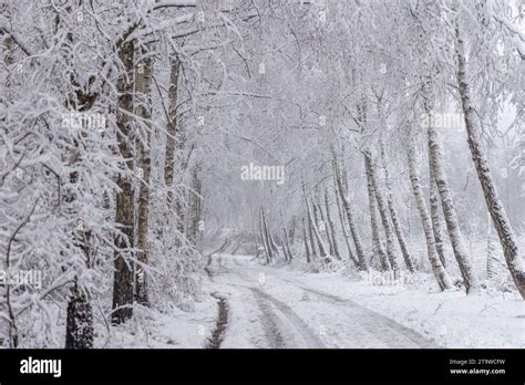 Schneefall im Taunus Bei starken Schneefällen zeigt sich Landschaft