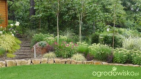 Mój ogród pod górkę... | Garden inspiration, Garden, Plants