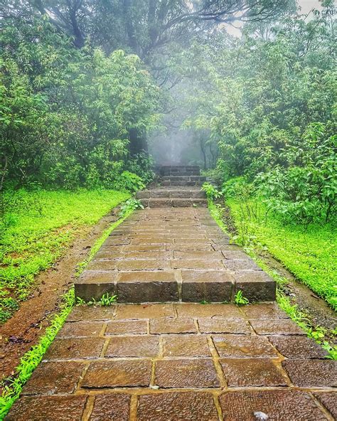 Rajmachi Fort A Trekking Guide