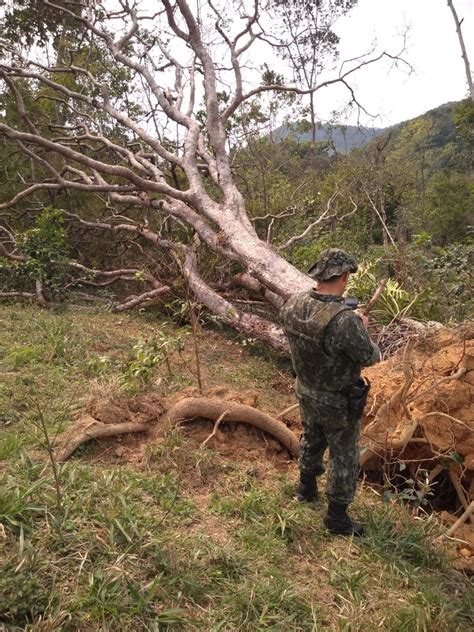 Operação Mata Atlântica em Pé fiscaliza áreas de desmatamento no Vale