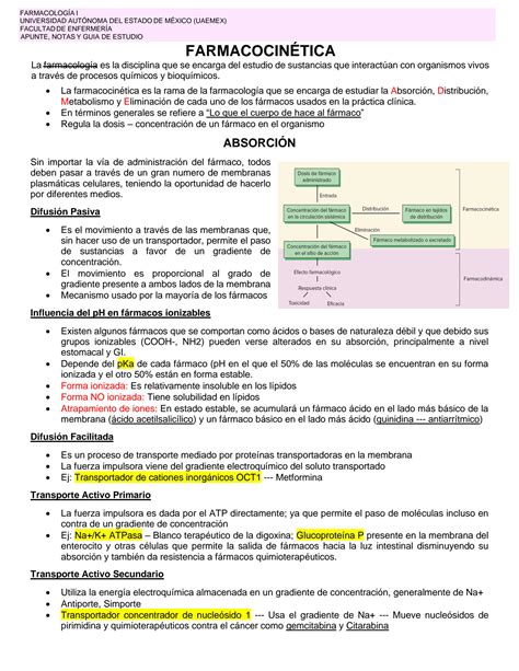 SOLUTION Guia De Estudio De Farmacocin Tica Studypool