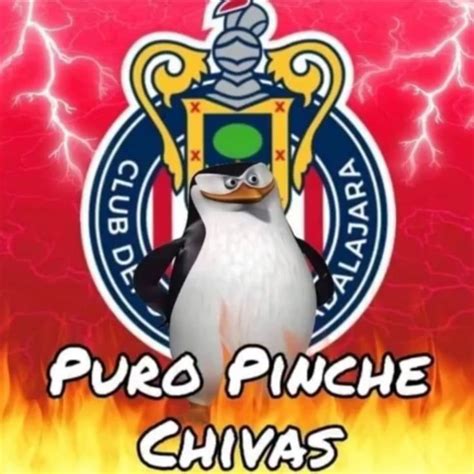 Puro Pinch Chivas Im Genes Graciosas Im Genes Divertidas Memes