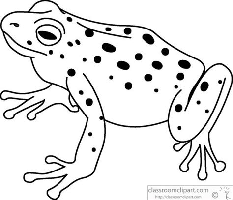 Animals Black and White Outline Clipart - green-tree-frog-black-white ...