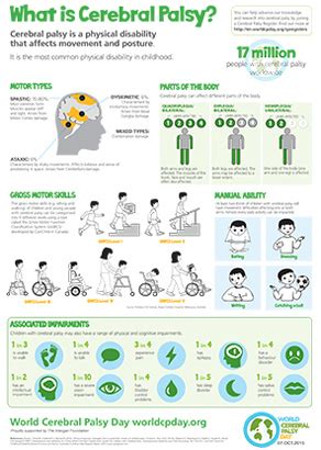 Facts about cerebral palsy | Cerebral Palsy Alliance Research Foundation