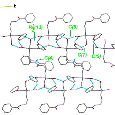 Partial Crystal Packing Of Showing Supramolecular Synthons H Atoms