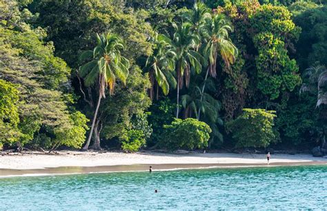 Circuito Paisajes Tropicales Y Manuel Antonio Premium Vip Desde