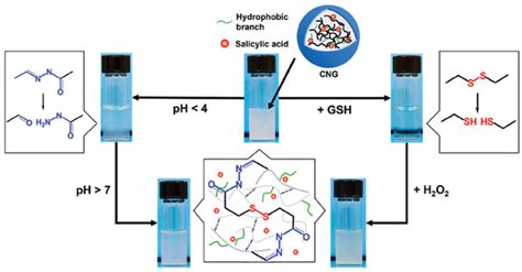 PH And Redox Dualresponsive Behaviors Of Salicylic Acidloaded